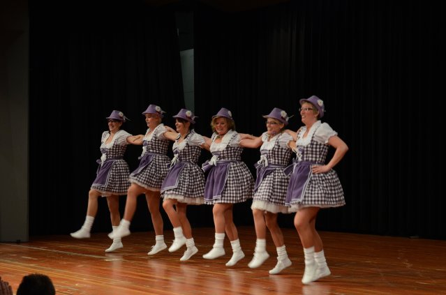 umzug simmern_140301_vb_334